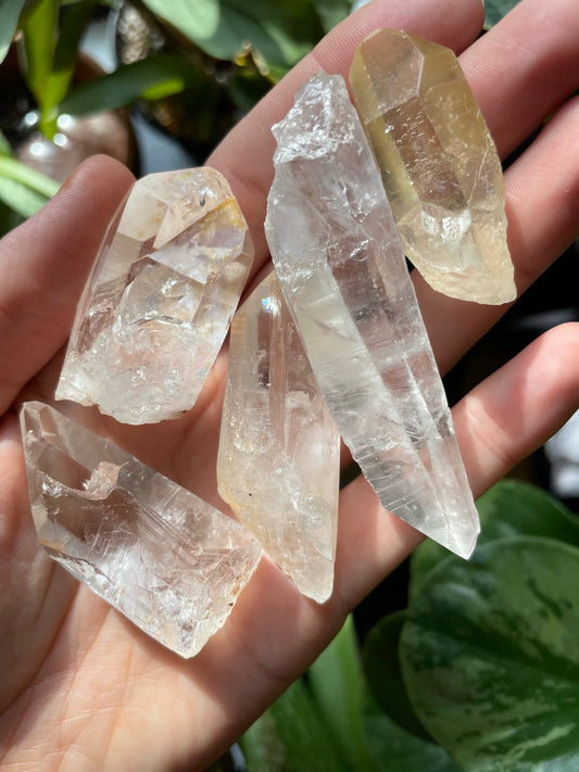 Lumarian Seed Crystals-small